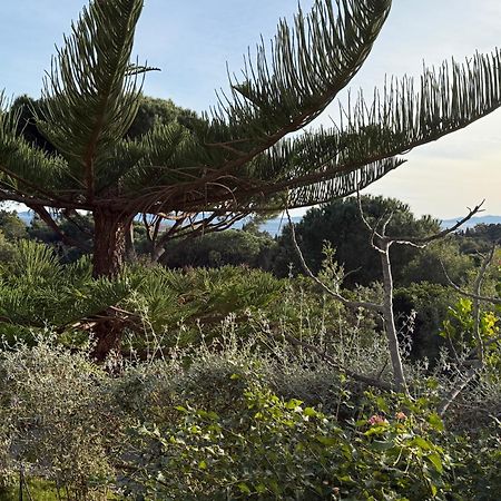 Villa Carpe Diem Le Lavandou Extérieur photo