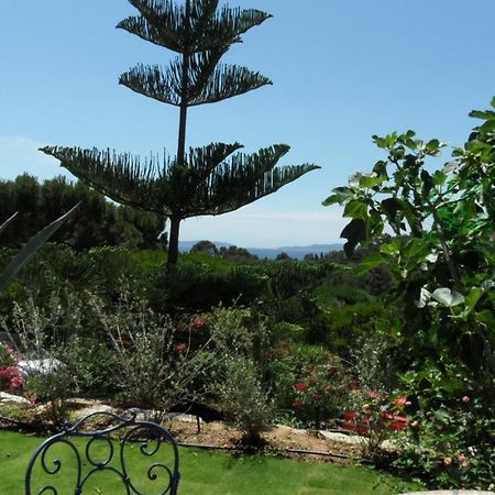 Villa Carpe Diem Le Lavandou Extérieur photo
