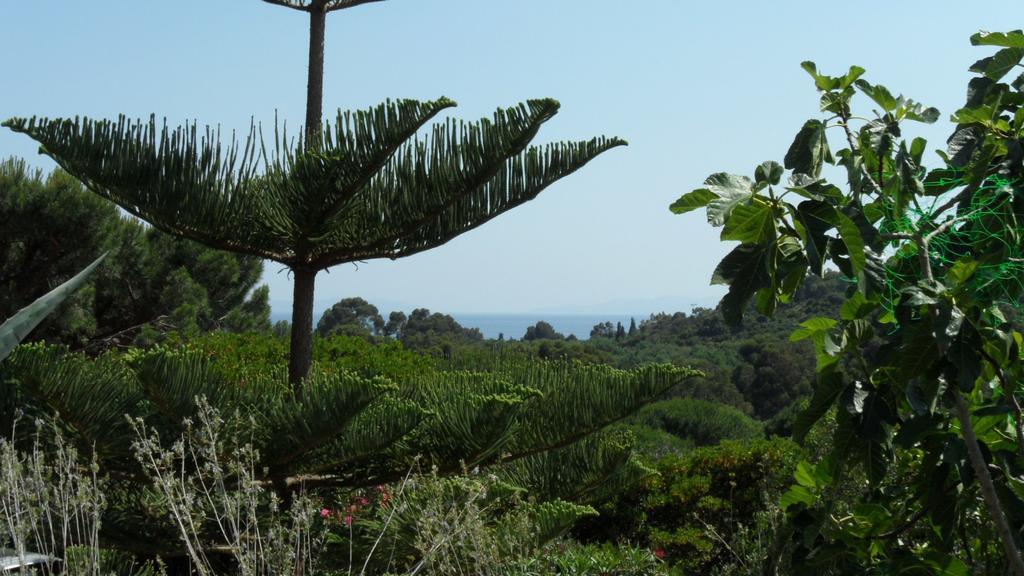 Villa Carpe Diem Le Lavandou Chambre photo