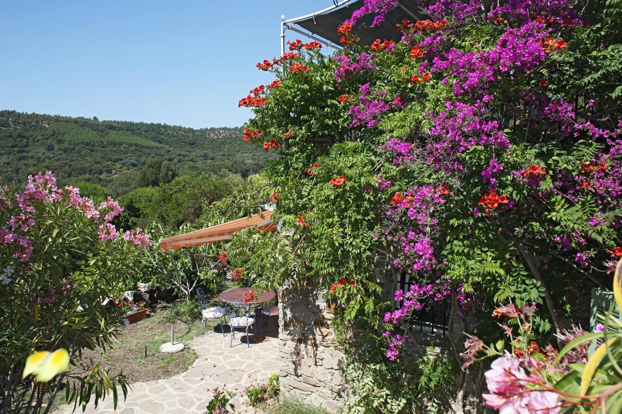 Villa Carpe Diem Le Lavandou Extérieur photo