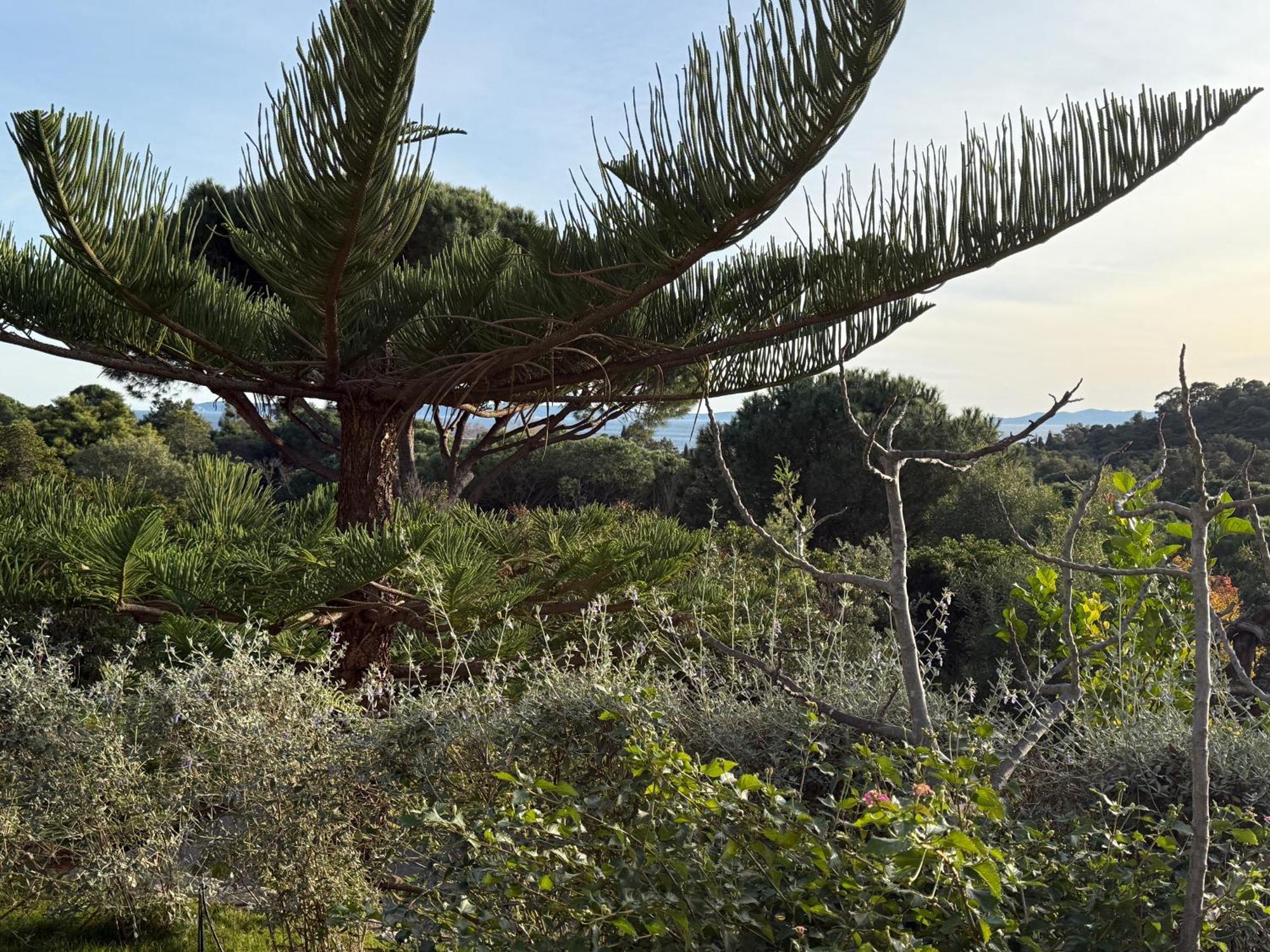 Villa Carpe Diem Le Lavandou Extérieur photo