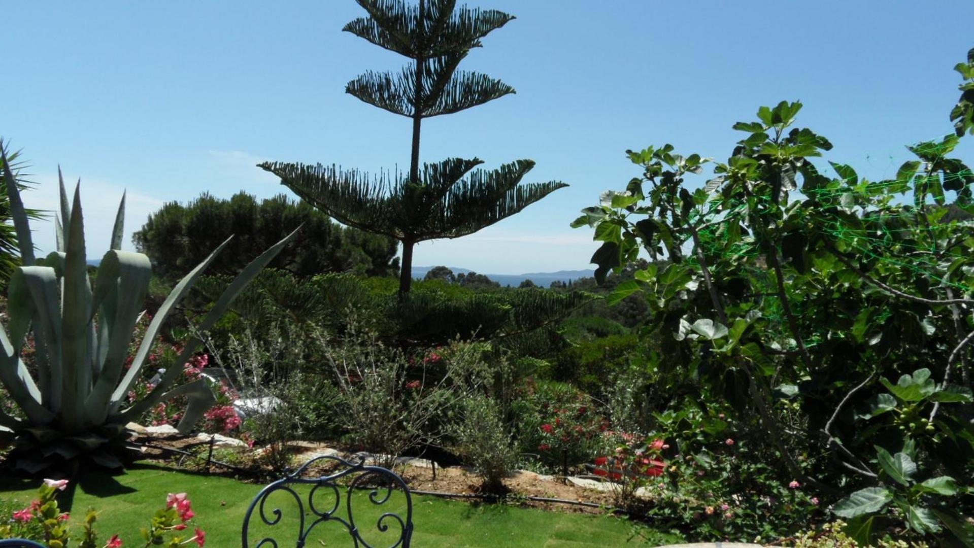 Villa Carpe Diem Le Lavandou Extérieur photo